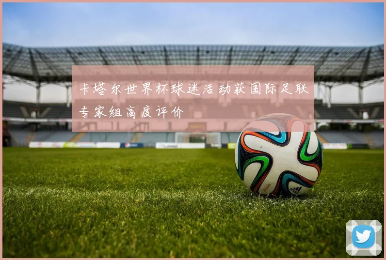 卡塔尔世界杯球迷活动获国际足联专家组高度评价