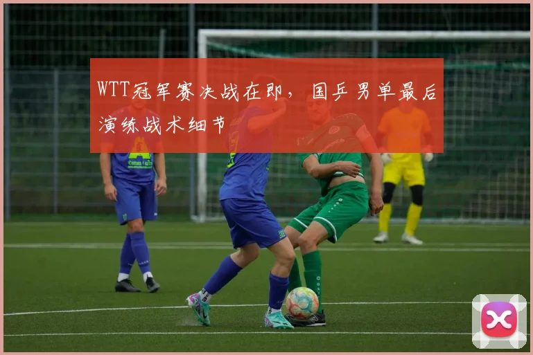 WTT冠军赛决战在即,国乒男单最后演练战术细节