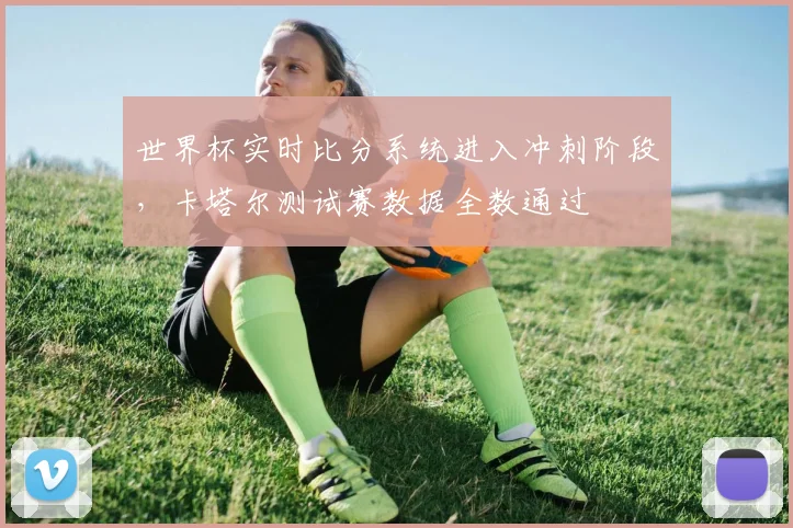 世界杯实时比分系统进入冲刺阶段,卡塔尔测试赛数据全数通过