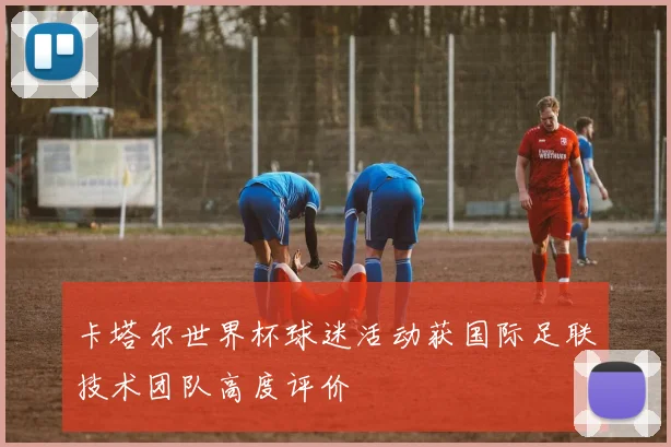 卡塔尔世界杯球迷活动获国际足联技术团队高度评价