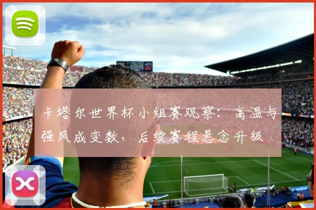 卡塔尔世界杯小组赛观察:高温与强风成变数,后续赛程悬念升级