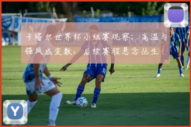 卡塔尔世界杯小组赛观察:高温与强风成变数,后续赛程悬念丛生