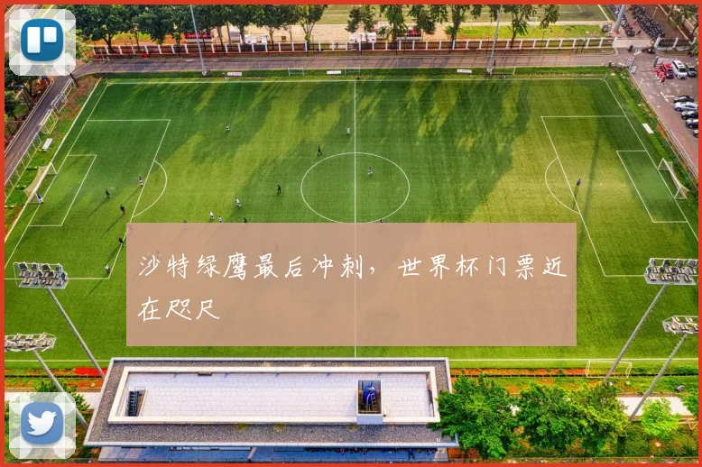 沙特绿鹰最后冲刺,世界杯门票近在咫尺