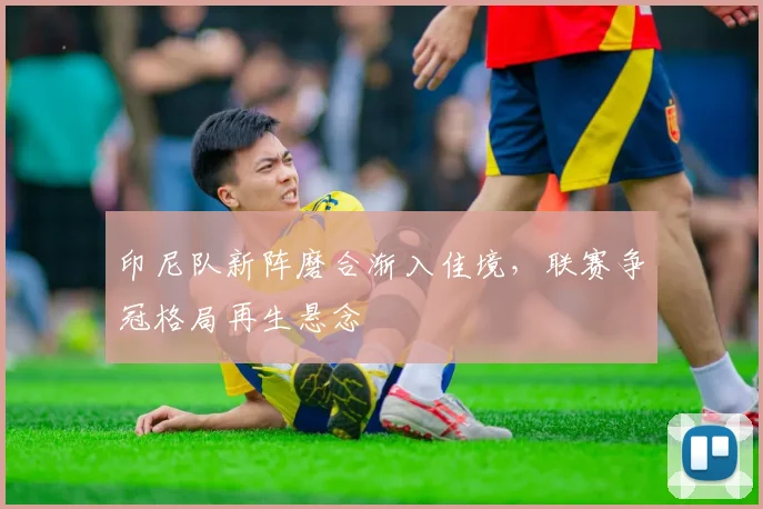 印尼队新阵磨合渐入佳境，联赛争冠格局再生悬念 - 搜狐体育